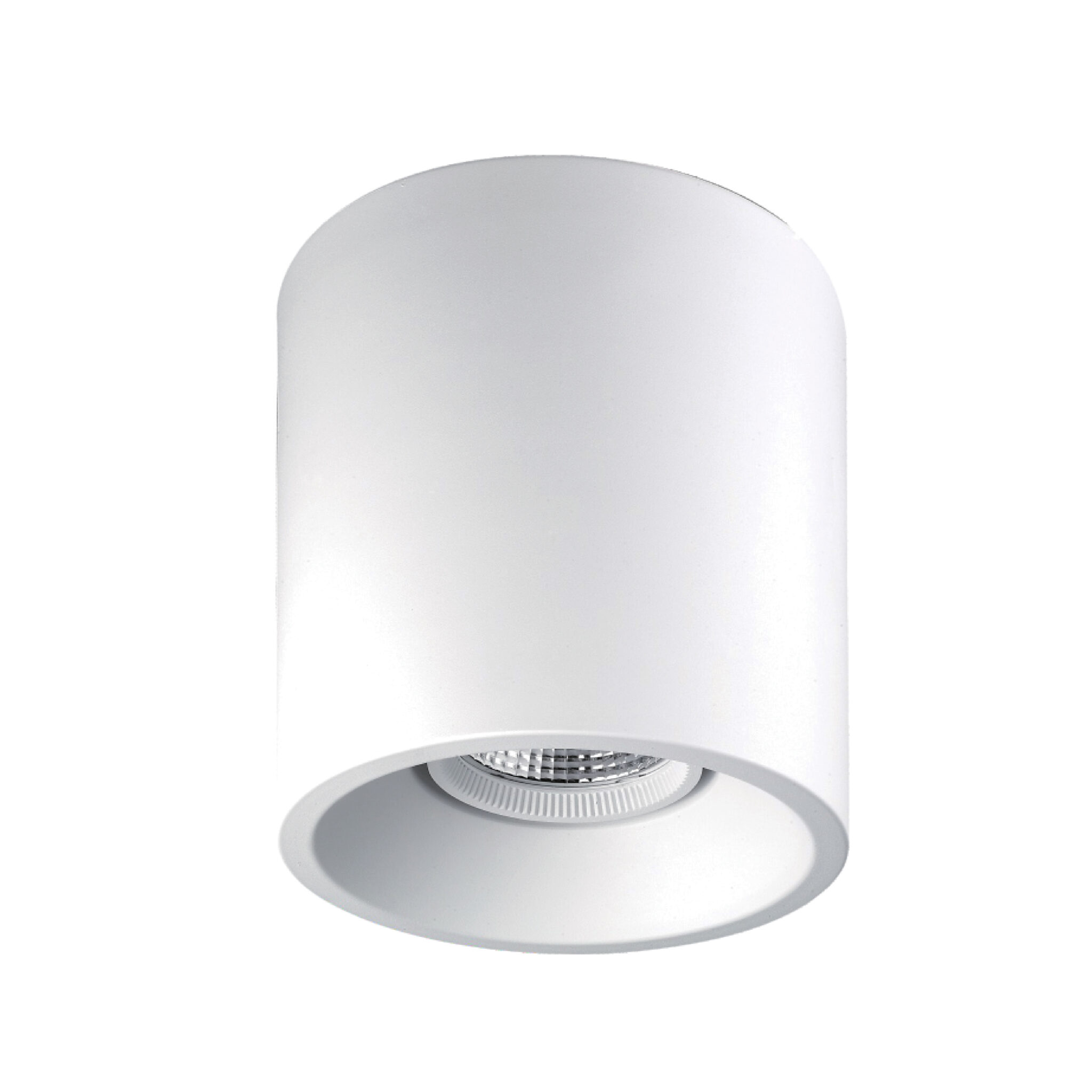 DLED-SD204-1600 – Delight